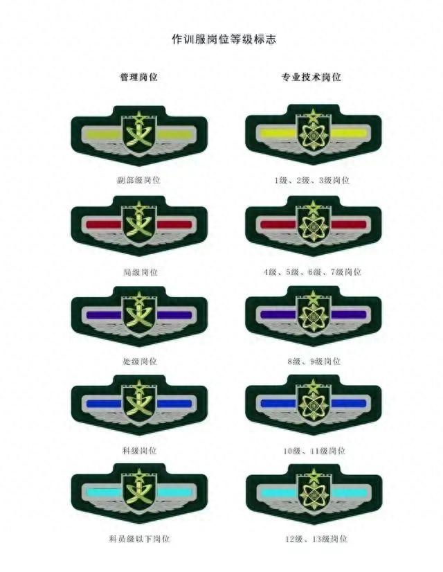 另外一種是著作訓(xùn)服時(shí)佩戴的，參照軍服兵種胸標(biāo)樣式，以兩種設(shè)計(jì)樣式區(qū)分管理崗和專業(yè)技術(shù)崗，以不同顏色區(qū)分不同等級(jí)。